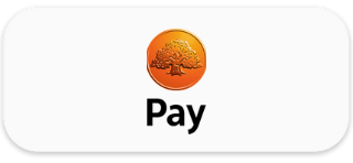 Swedbank Pay Logo